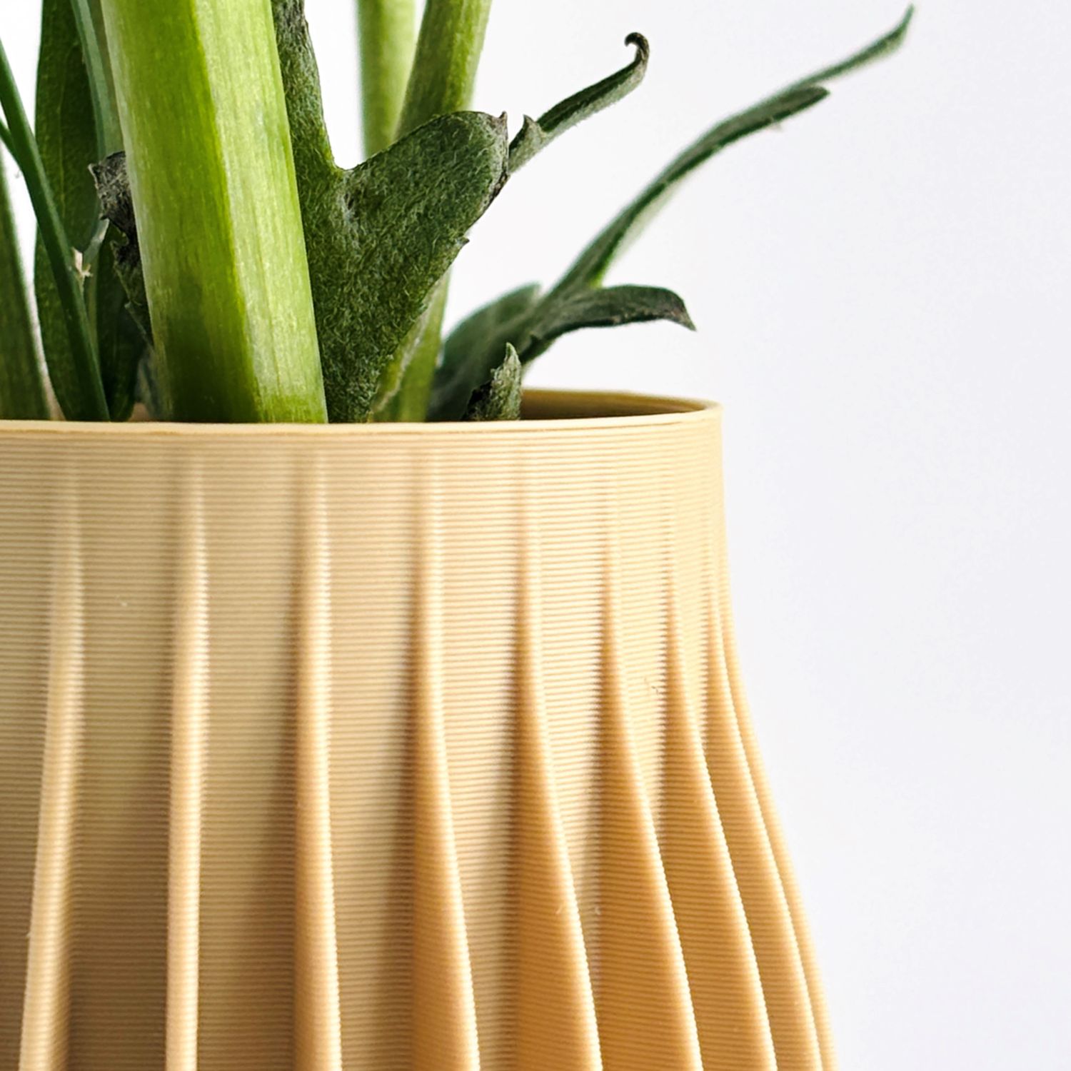 Sonnihaus Studio: HOLI Vase – Hazelnut Product Image 4 of 5