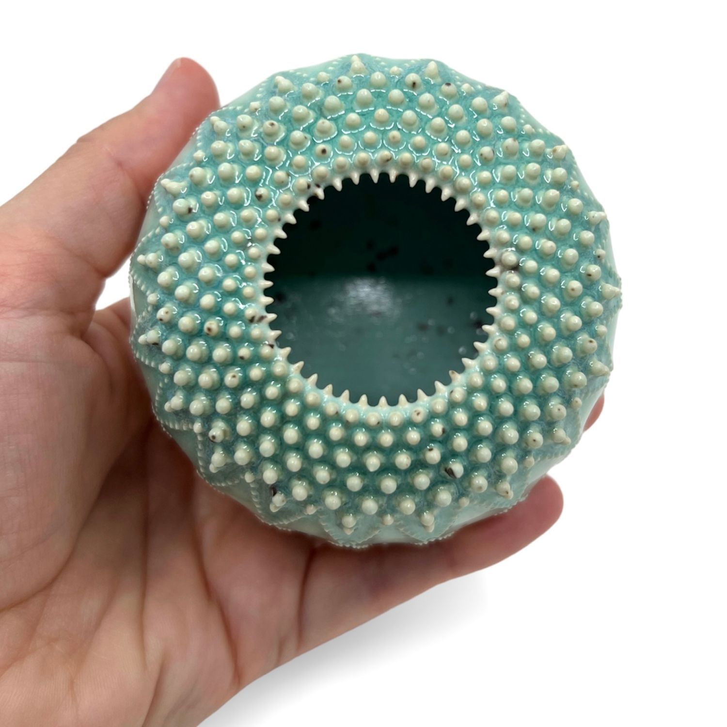 Zara Gardner: Turquoise Urchin Sculpture Product Image 4 of 5