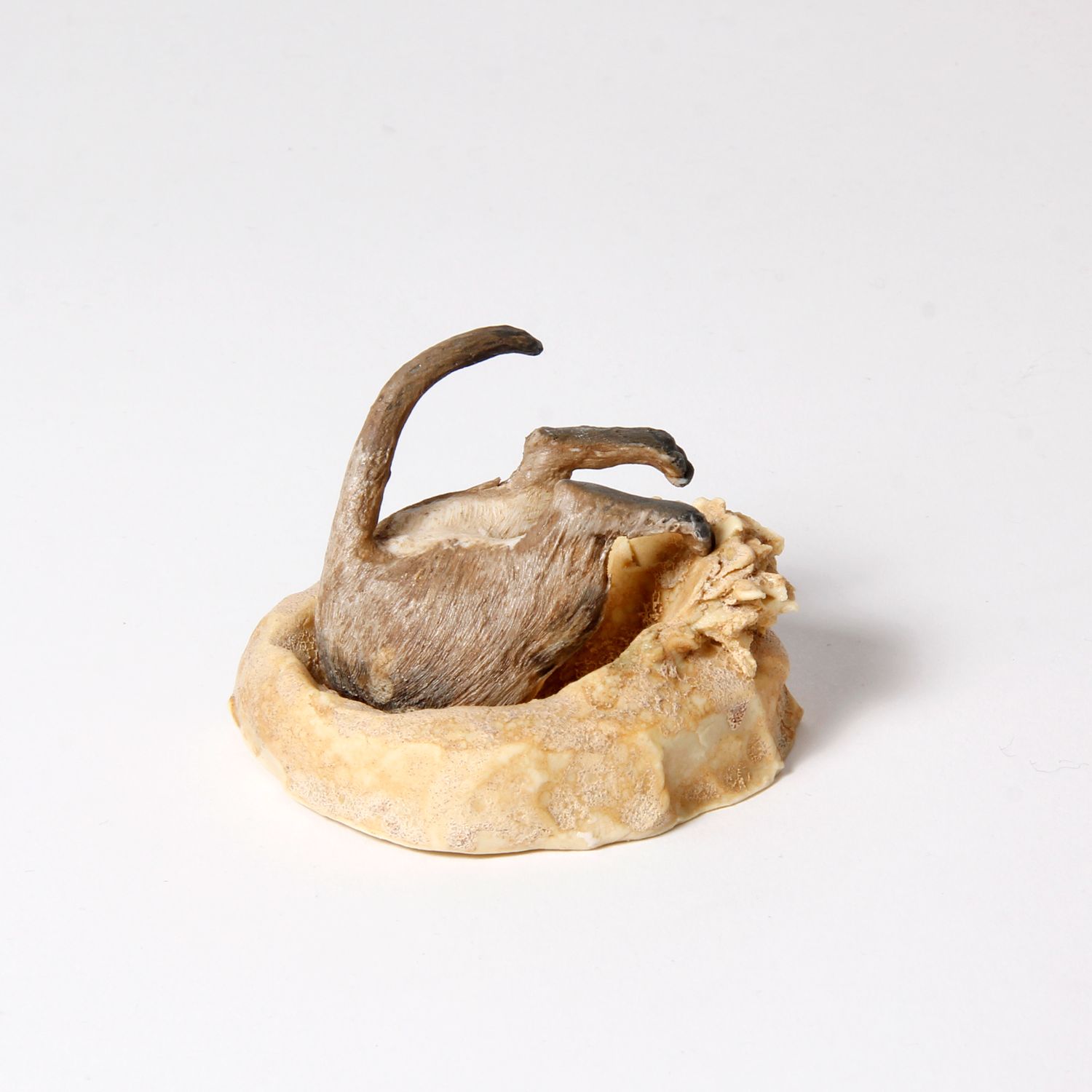Peidi Wang: Meerkat – Assorted Product Image 4 of 6
