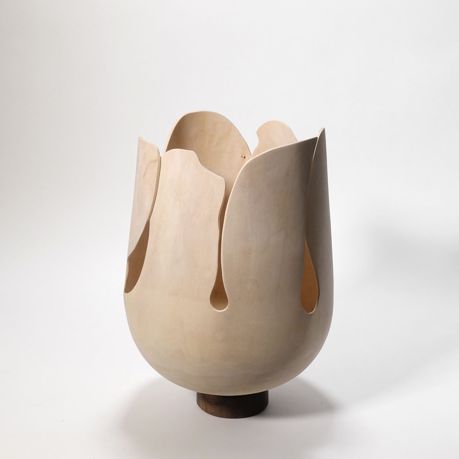 Andreas Krätschmer: Blooming from within Product Image 1 of 12