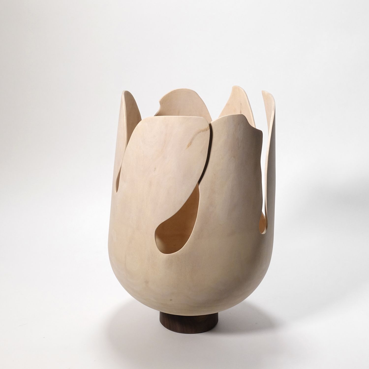 Andreas Krätschmer: Blooming from within Product Image 2 of 12