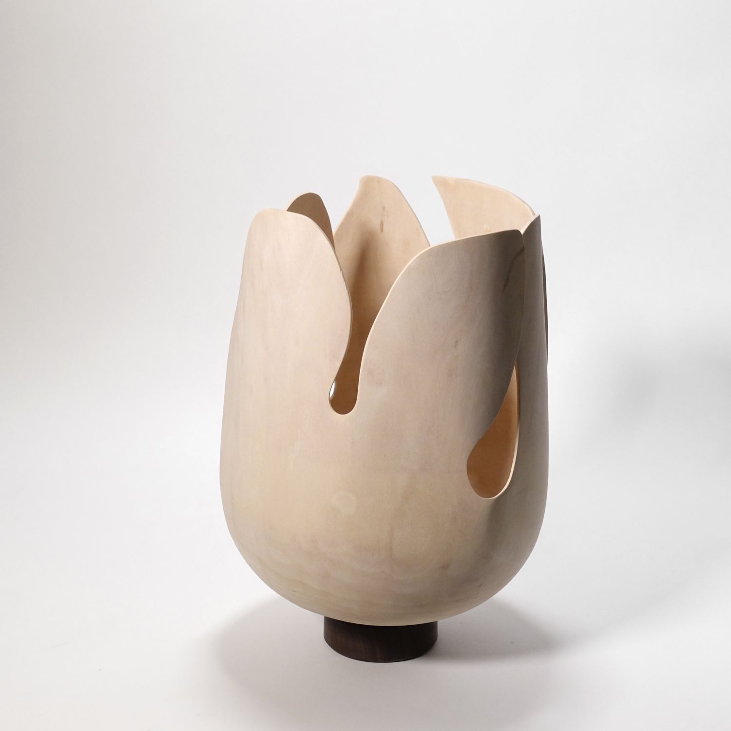 Andreas Krätschmer: Blooming from within Product Image 3 of 12