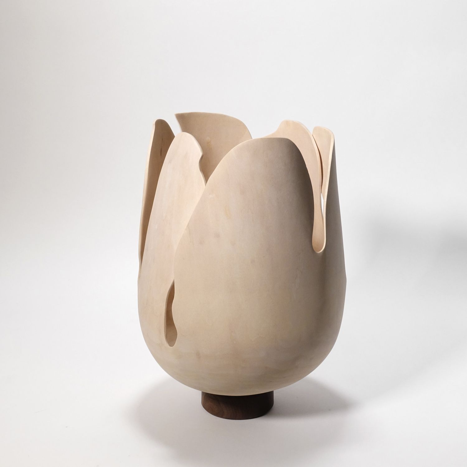 Andreas Krätschmer: Blooming from within Product Image 4 of 12
