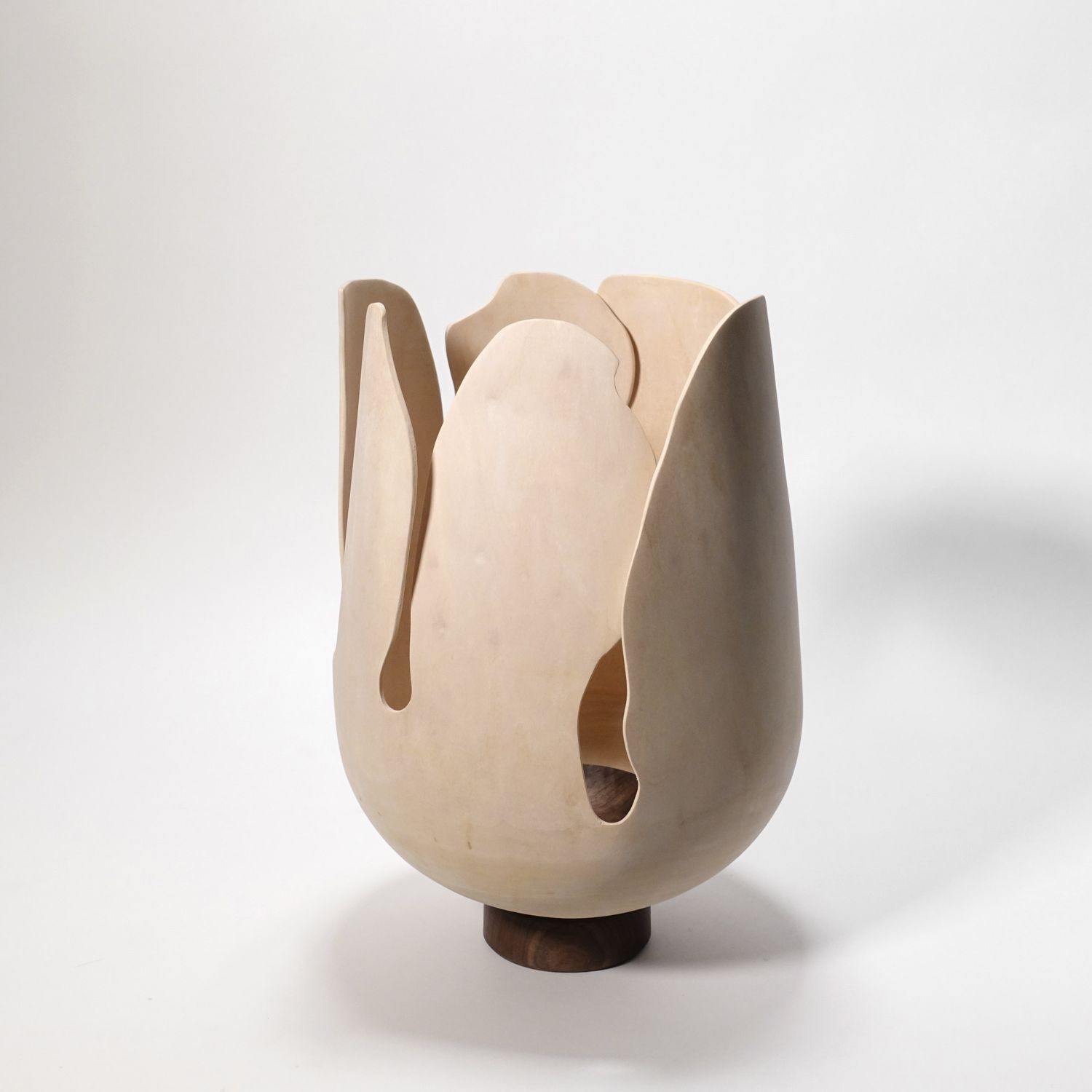 Andreas Krätschmer: Blooming from within Product Image 5 of 12