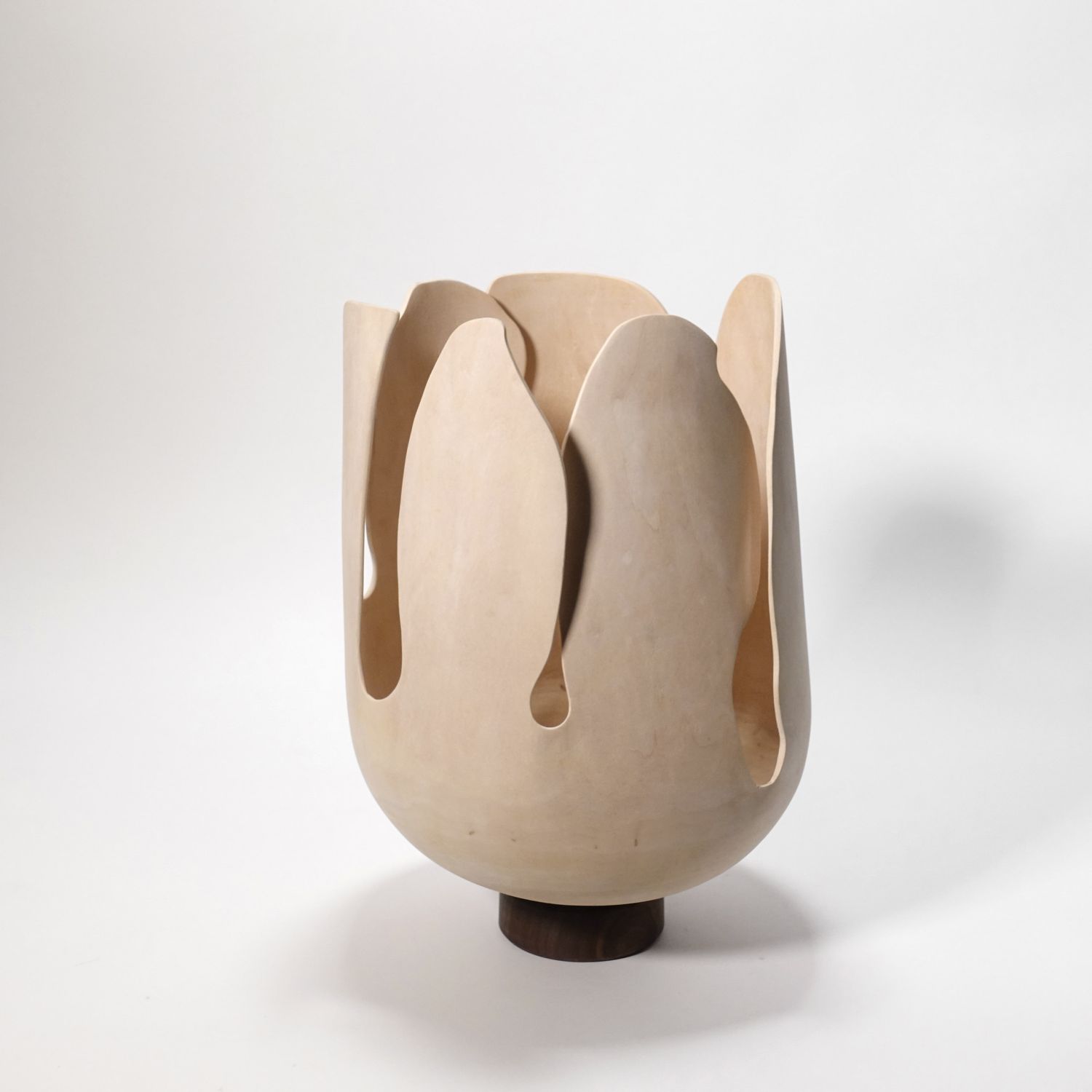 Andreas Krätschmer: Blooming from within Product Image 6 of 12