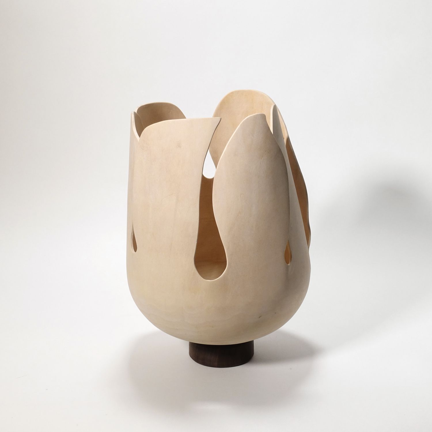 Andreas Krätschmer: Blooming from within Product Image 7 of 12
