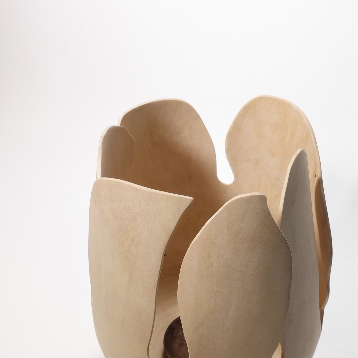 Andreas Krätschmer: Blooming from within Product Image 8 of 12