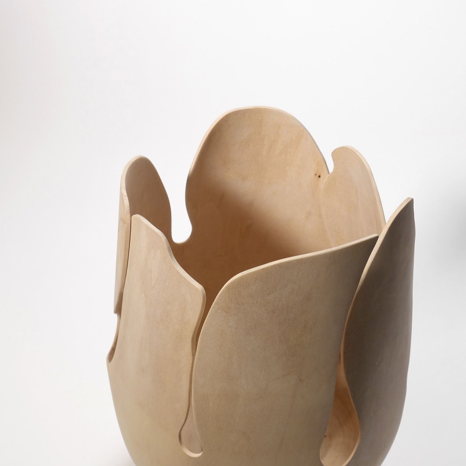 Andreas Krätschmer: Blooming from within Product Image 9 of 12