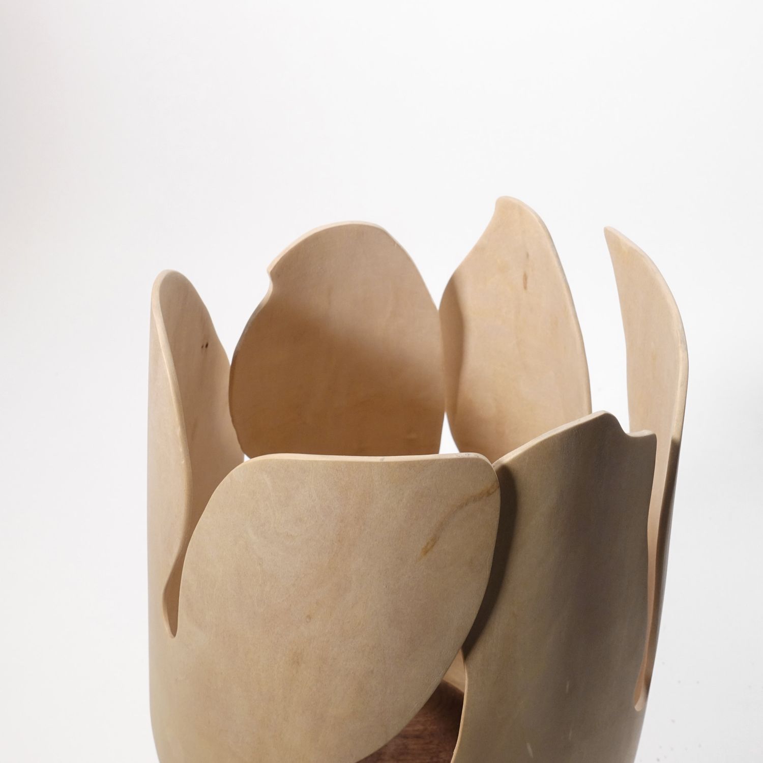 Andreas Krätschmer: Blooming from within Product Image 10 of 12