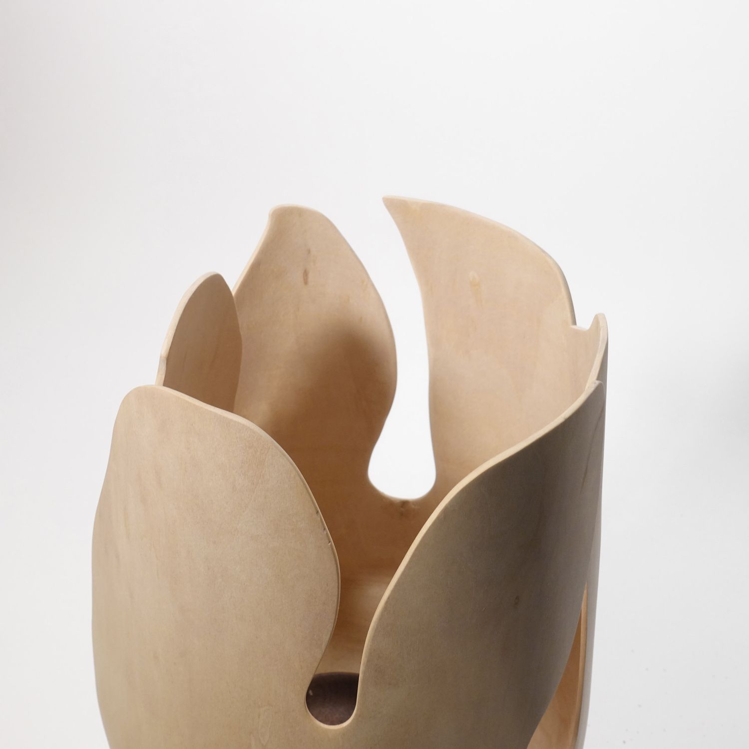 Andreas Krätschmer: Blooming from within Product Image 11 of 12