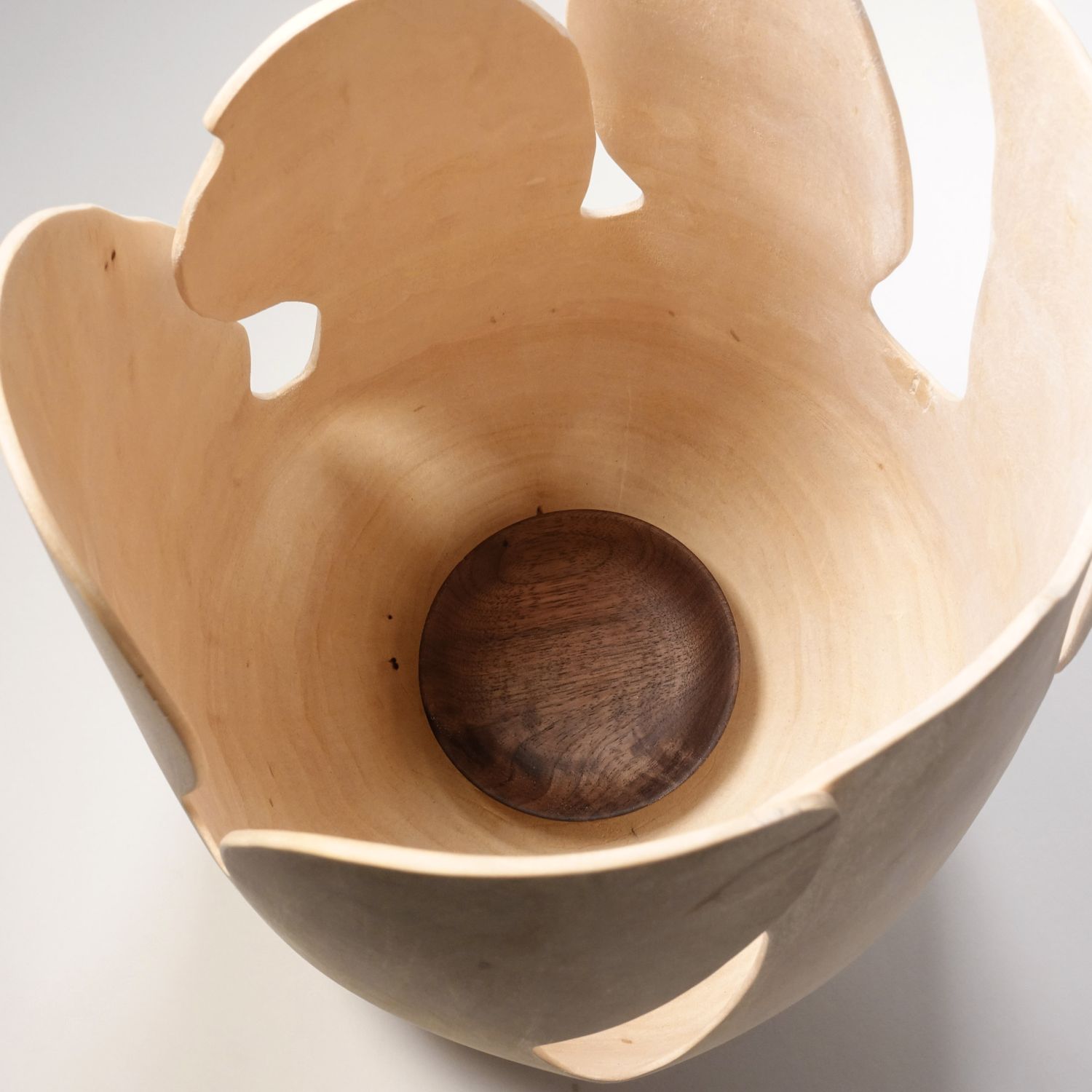 Andreas Krätschmer: Blooming from within Product Image 12 of 12