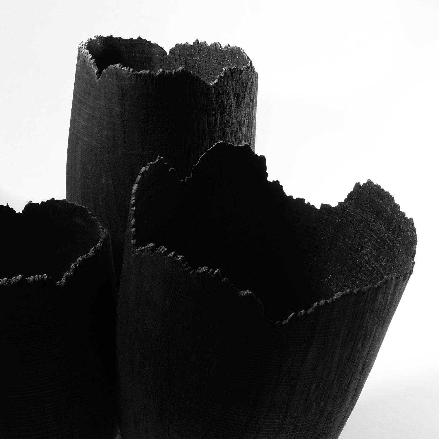 Andreas Krätschmer: Blooming through adversity Product Image 10 of 11
