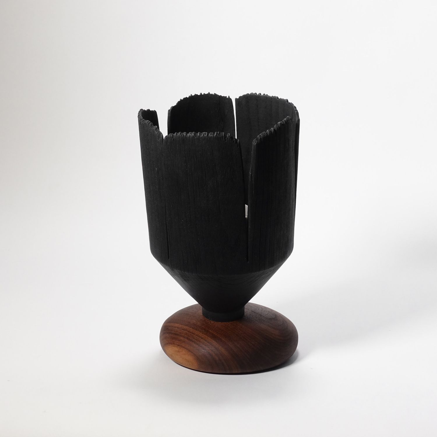 Andreas Krätschmer: Blooming through adversity II Product Image 2 of 8