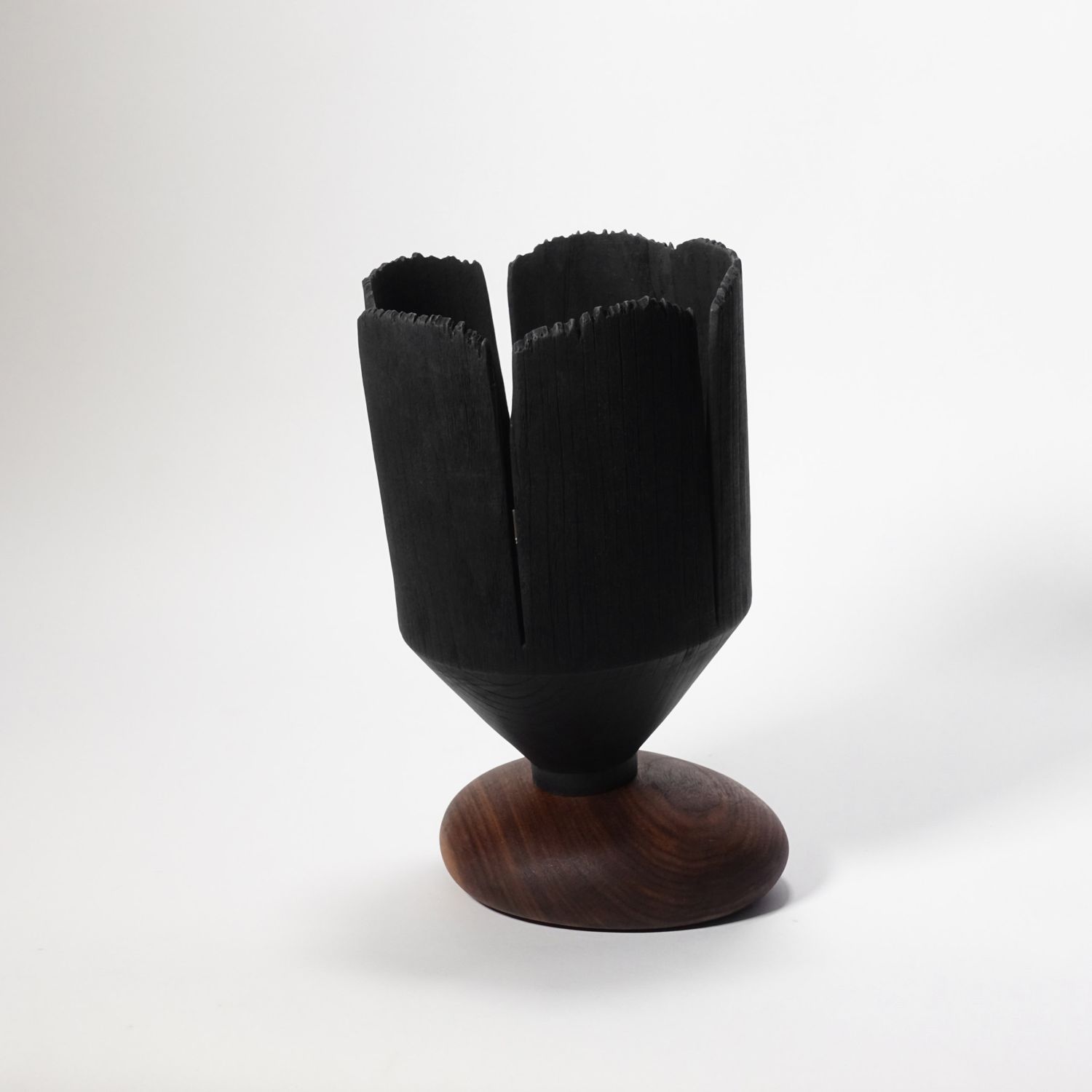 Andreas Krätschmer: Blooming through adversity II Product Image 3 of 8