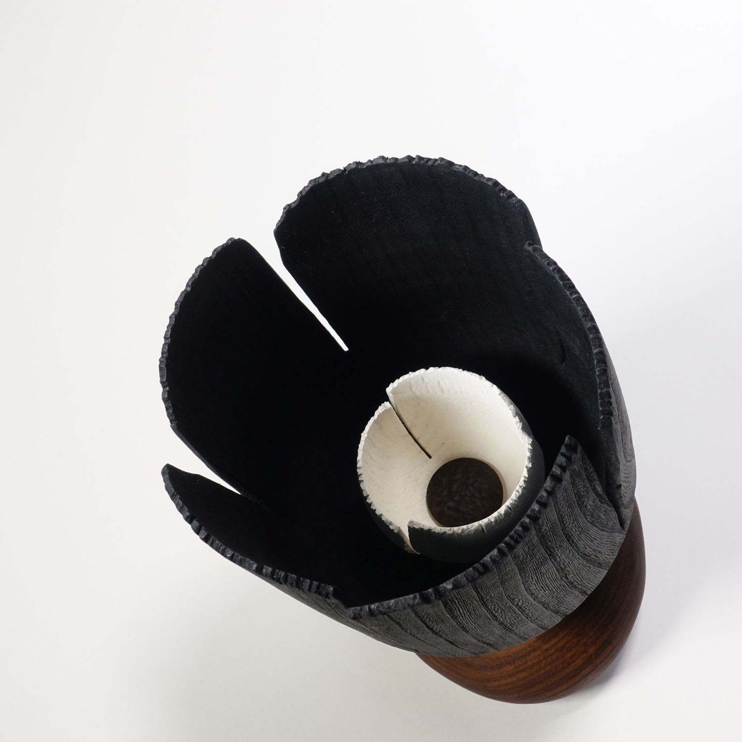 Andreas Krätschmer: Blooming through adversity II Product Image 6 of 8
