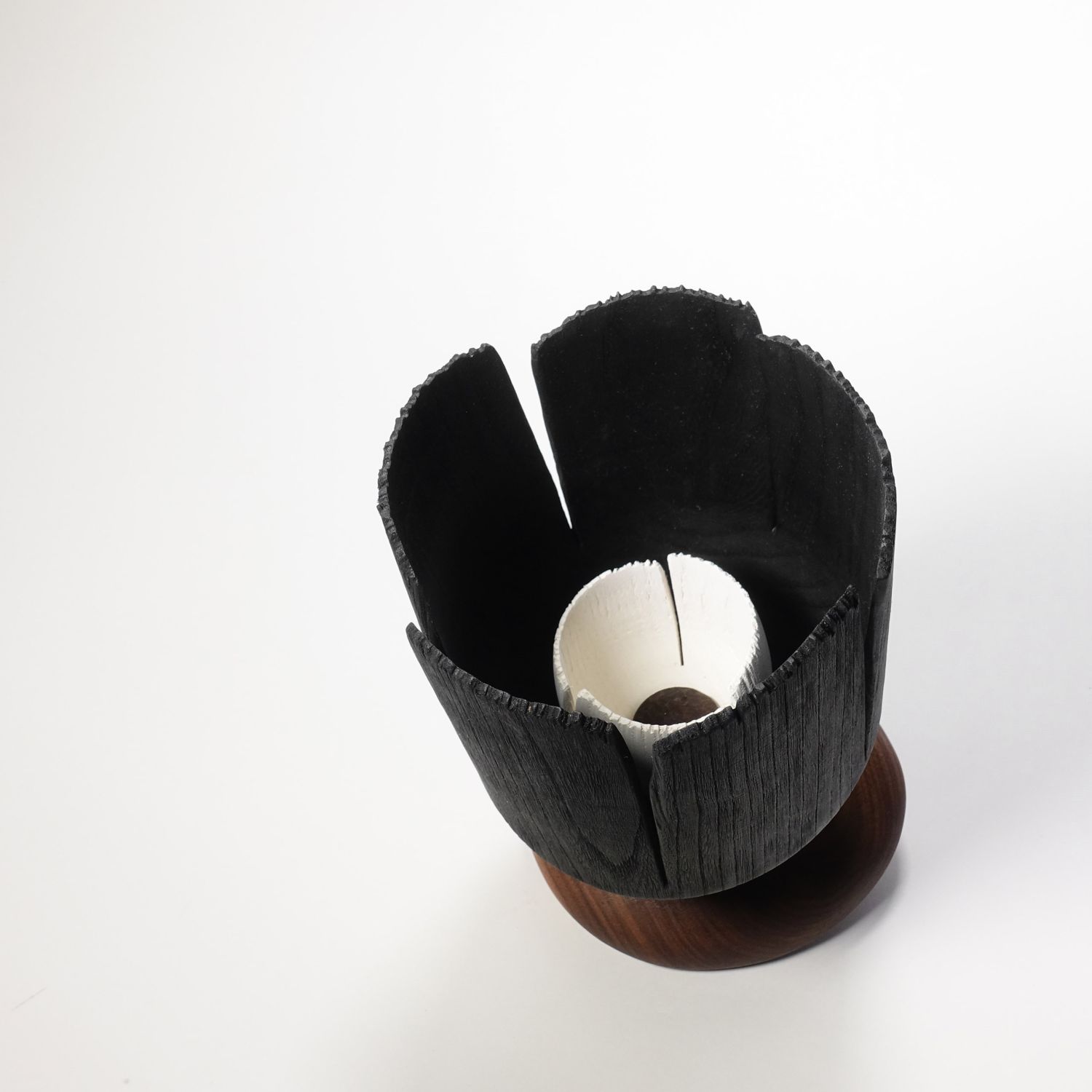 Andreas Krätschmer: Blooming through adversity II Product Image 7 of 8
