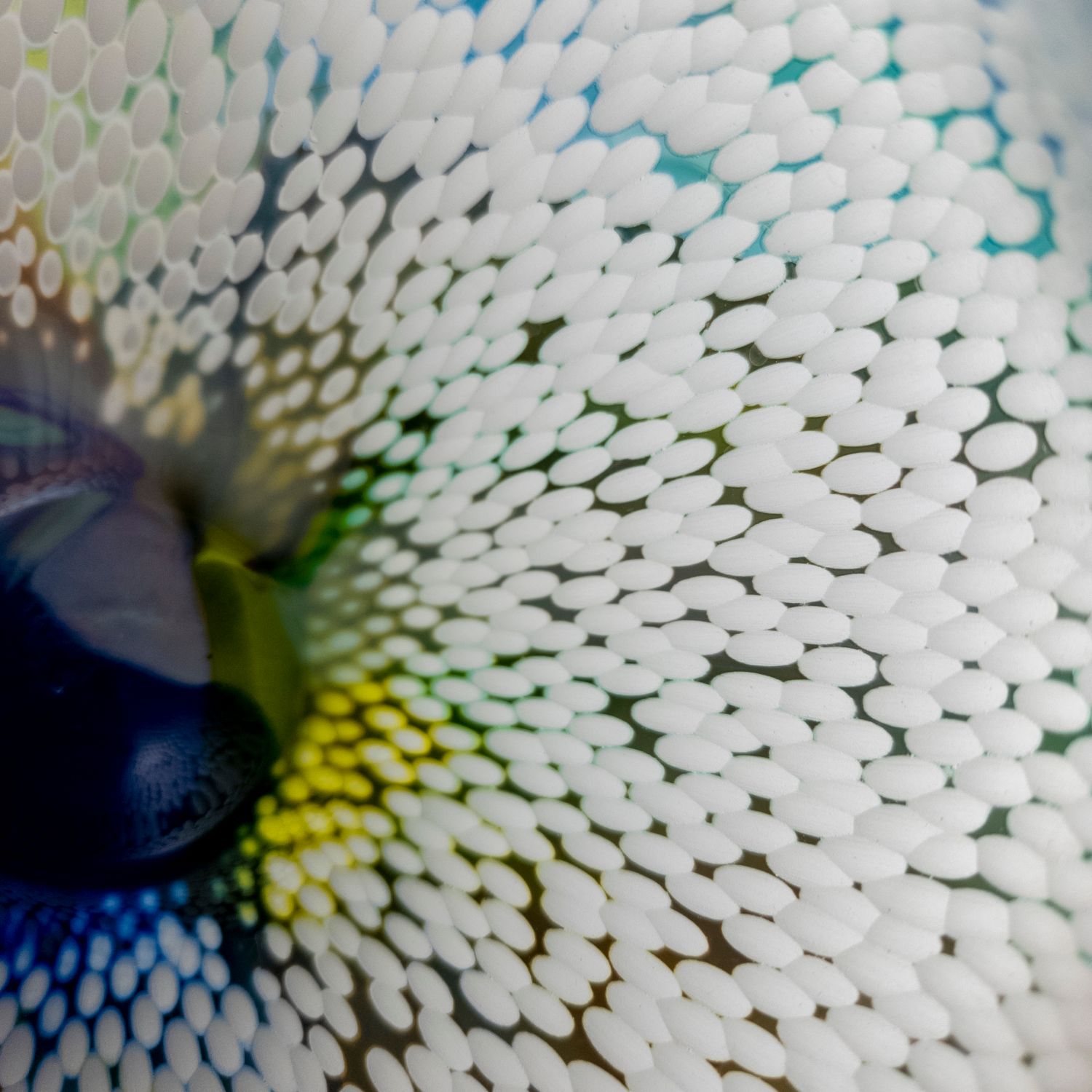 Sydni Weatherson: Mist ll – Glass Vase Product Image 2 of 4