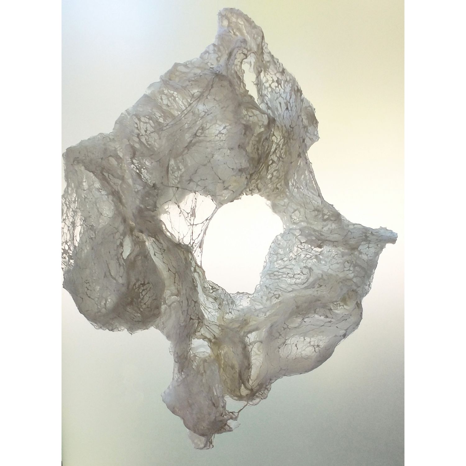 Katja van den Enden: Hirngespinst, Circle not Circle Product Image 1 of 1