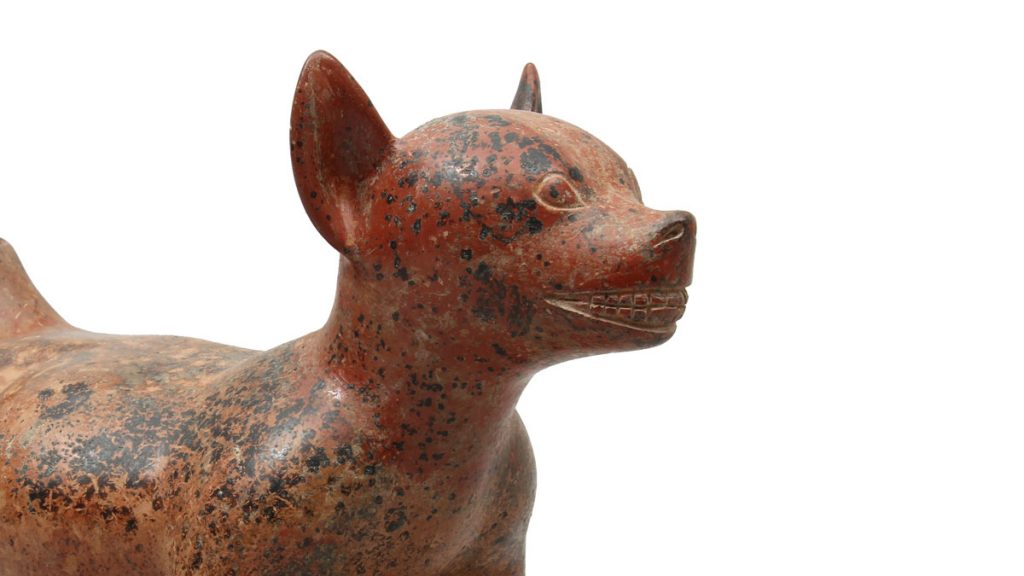 Ancient Americas