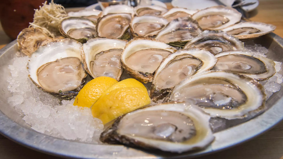 Oysters on ice with sliced lemon